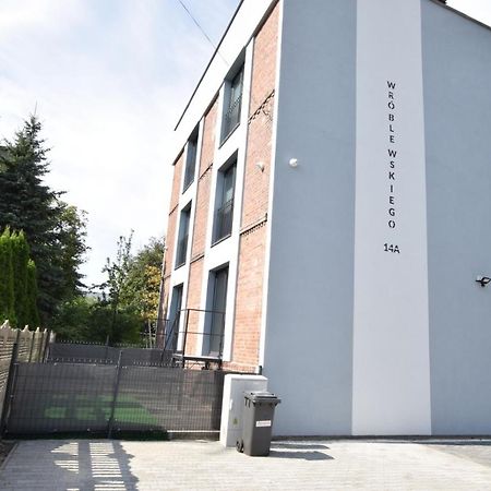 Katowice Chorzow Park Stadion Slaski Apartmenty Siemianowice Śląskie Dış mekan fotoğraf